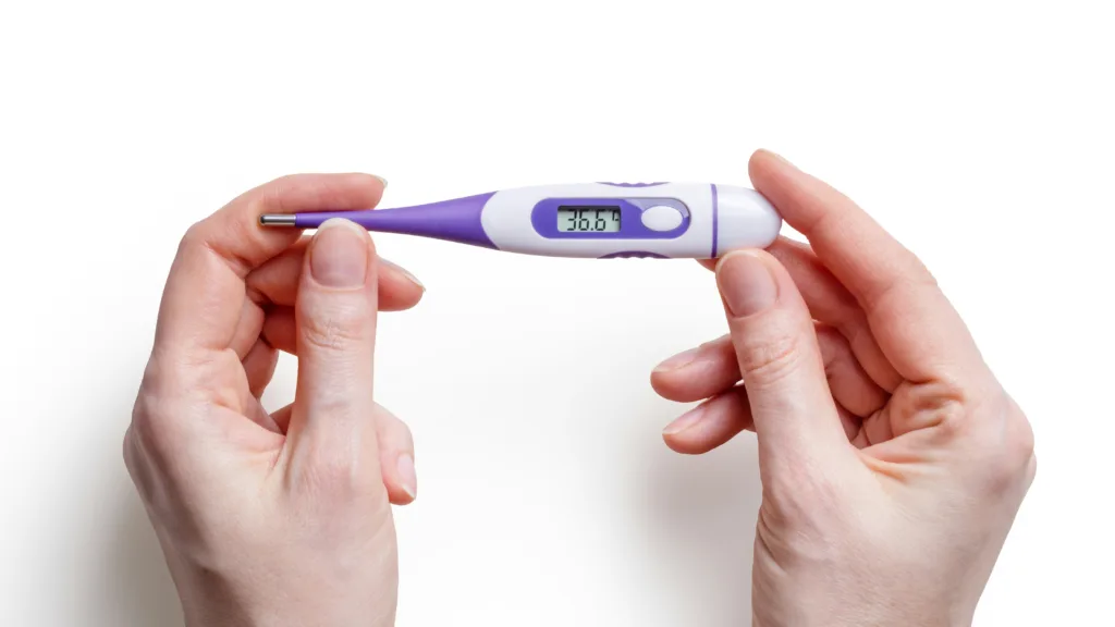 Female hands hold a basal body temperature thermometer to track ovulation 