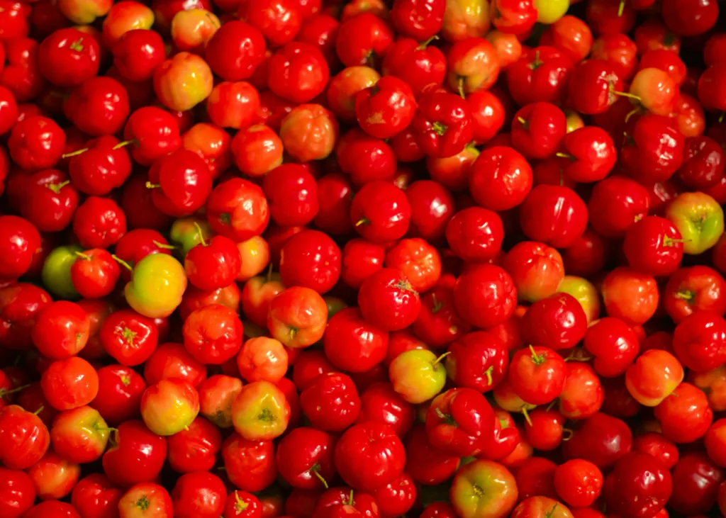A large pile of bright red acerola cherries with a few yellow unripened acerola cherries.